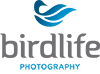 BirdLife Photography