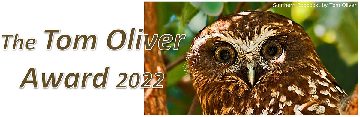 TOA2022banner